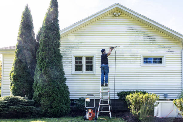 Best Best Pressure Washing Companies  in Hillsdale, MI