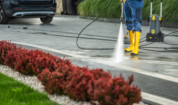 Best Affordable Pressure Washing  in Hillsdale, MI